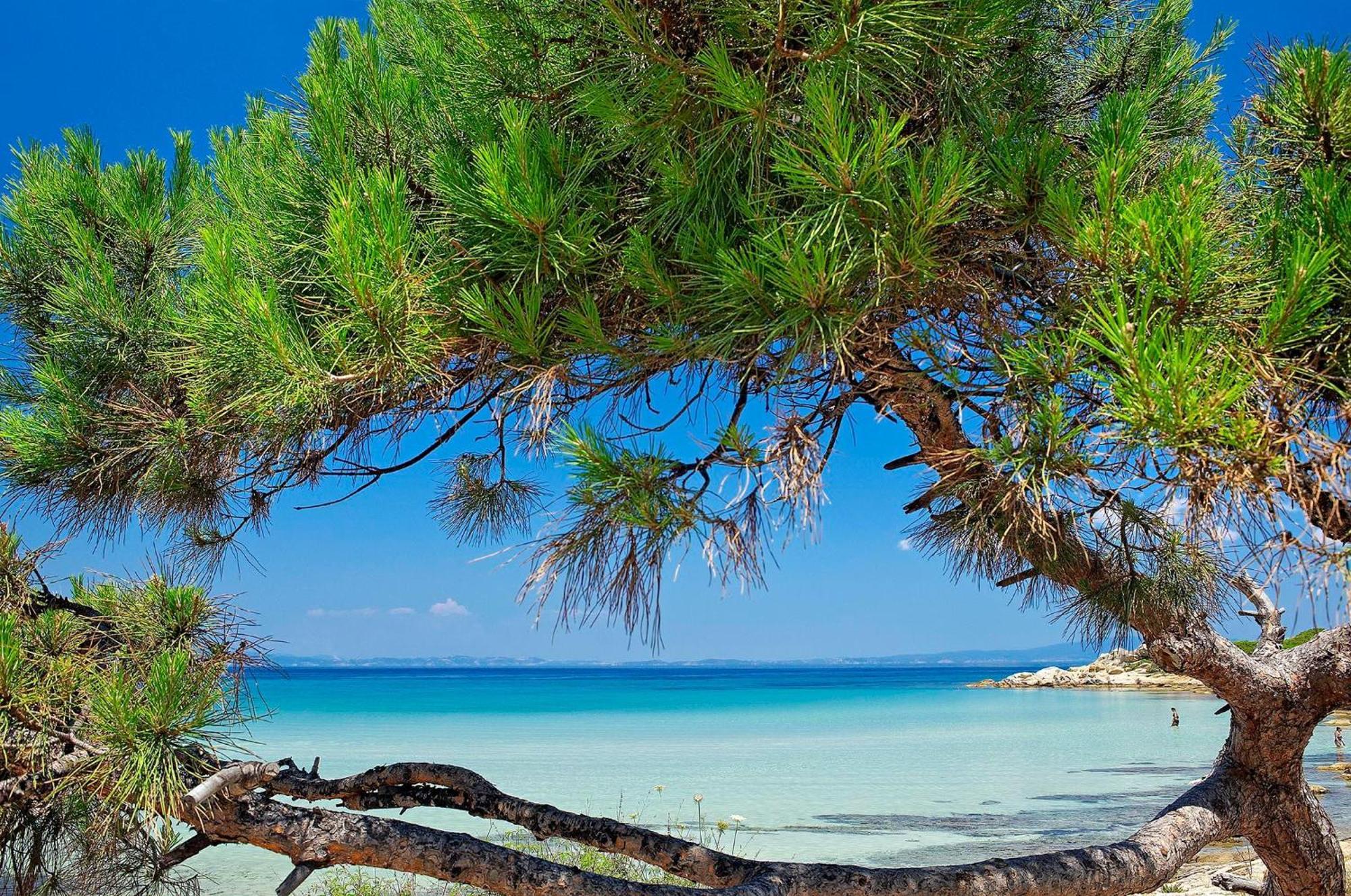Отель Ikos Oceania Неа-Муданья Экстерьер фото